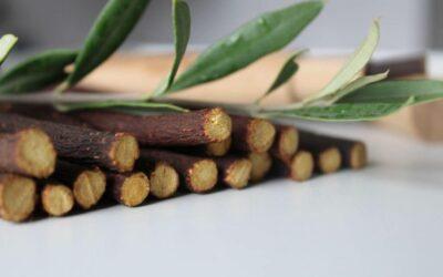 Le siwak, une tradition ancestrale